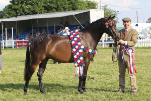 Simon Constable with British National Champion Moor Than Handsome